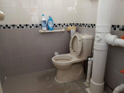 Blk 506 West Coast Vista (Clementi), HDB 4 Rooms #517139101